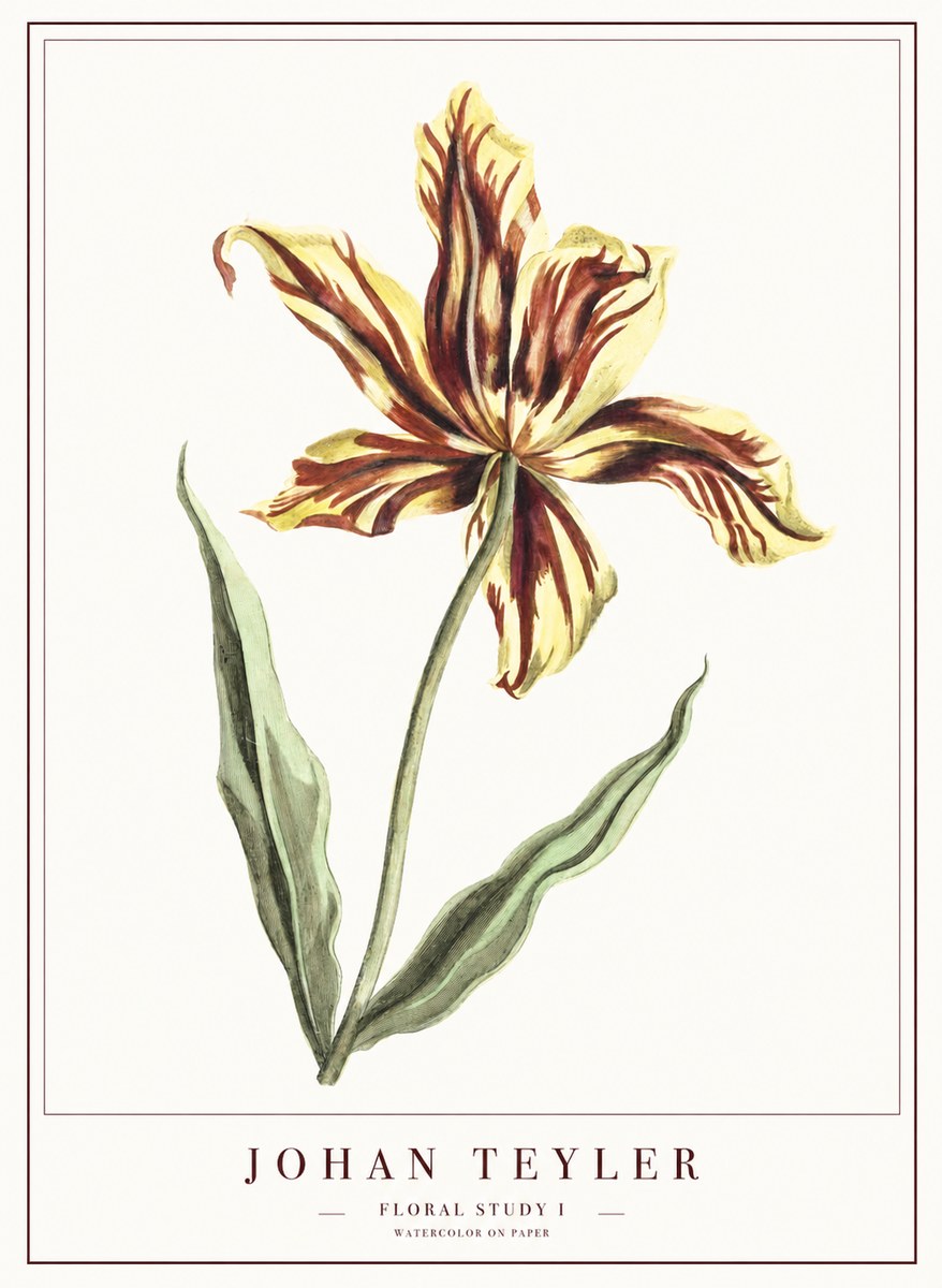 Johan Teyler Floral Study I No1 - Juliste