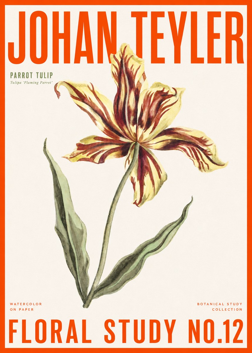 Johan Teyler Floral Study I No6 - Juliste