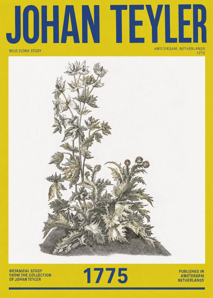 Johan Teyler Wild Flora Study No2 - Juliste