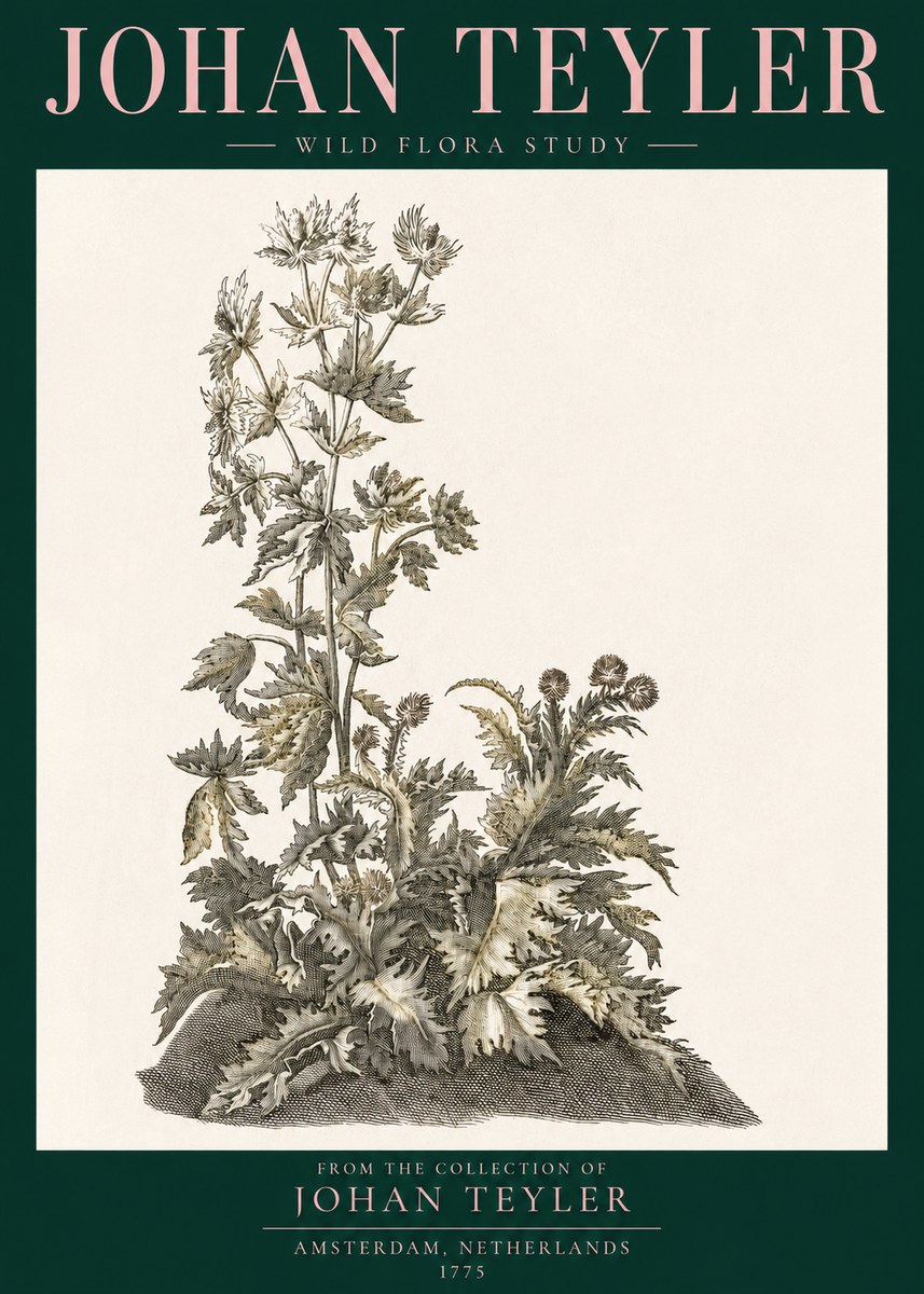 Johan Teyler Wild Flora Study No3 - Juliste