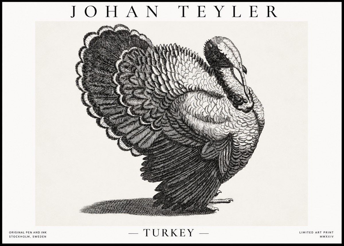 Johan Teyler Turkey No1 - Juliste