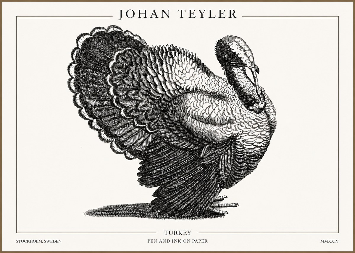 Johan Teyler Turkey No2 - Juliste