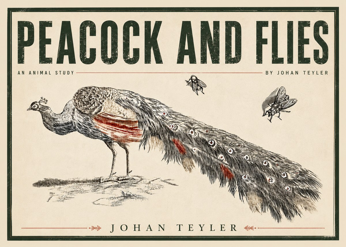 Johan Teyler Peacock and Flies - Animal Study No5 - Juliste
