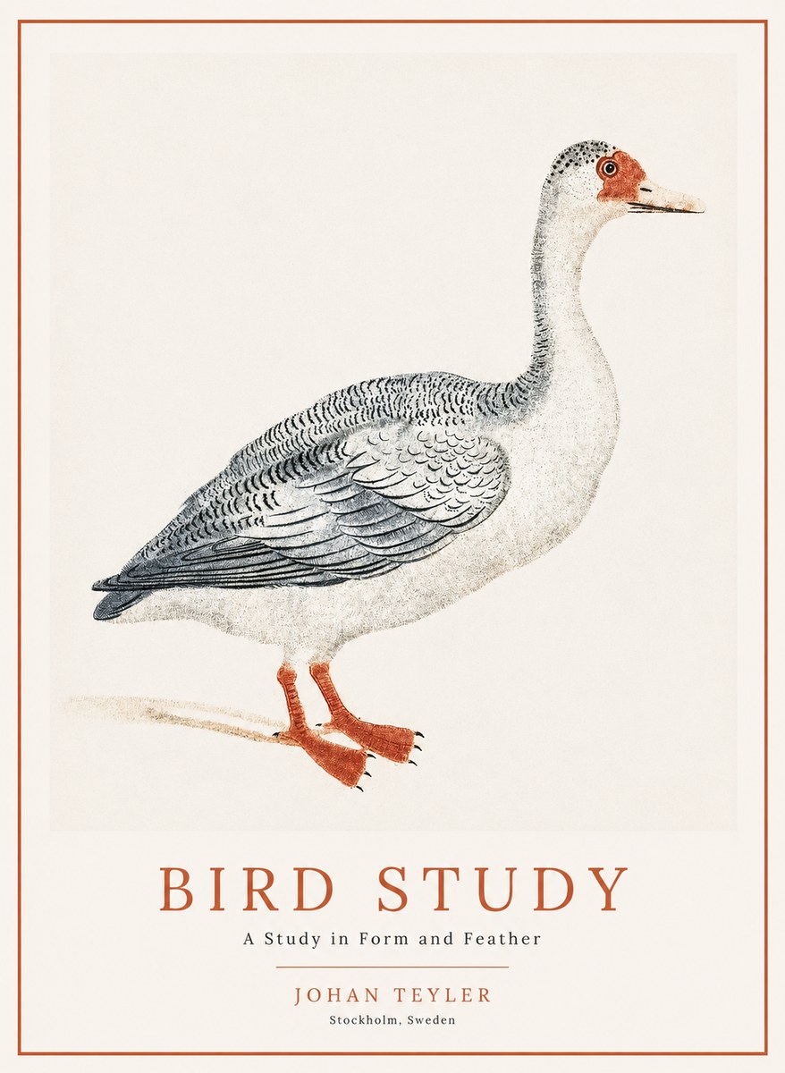 Johan Teyler Goose Study No2 - Juliste