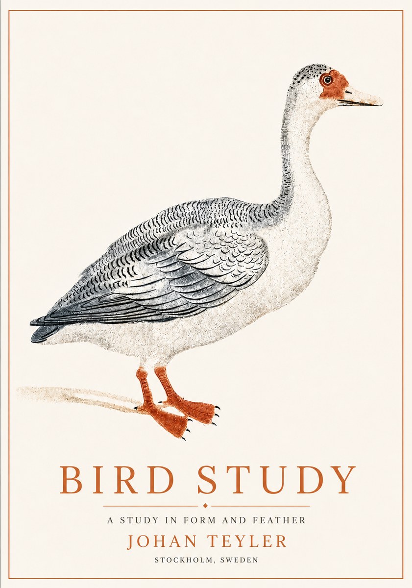 Johan Teyler Goose Study No6 - Juliste