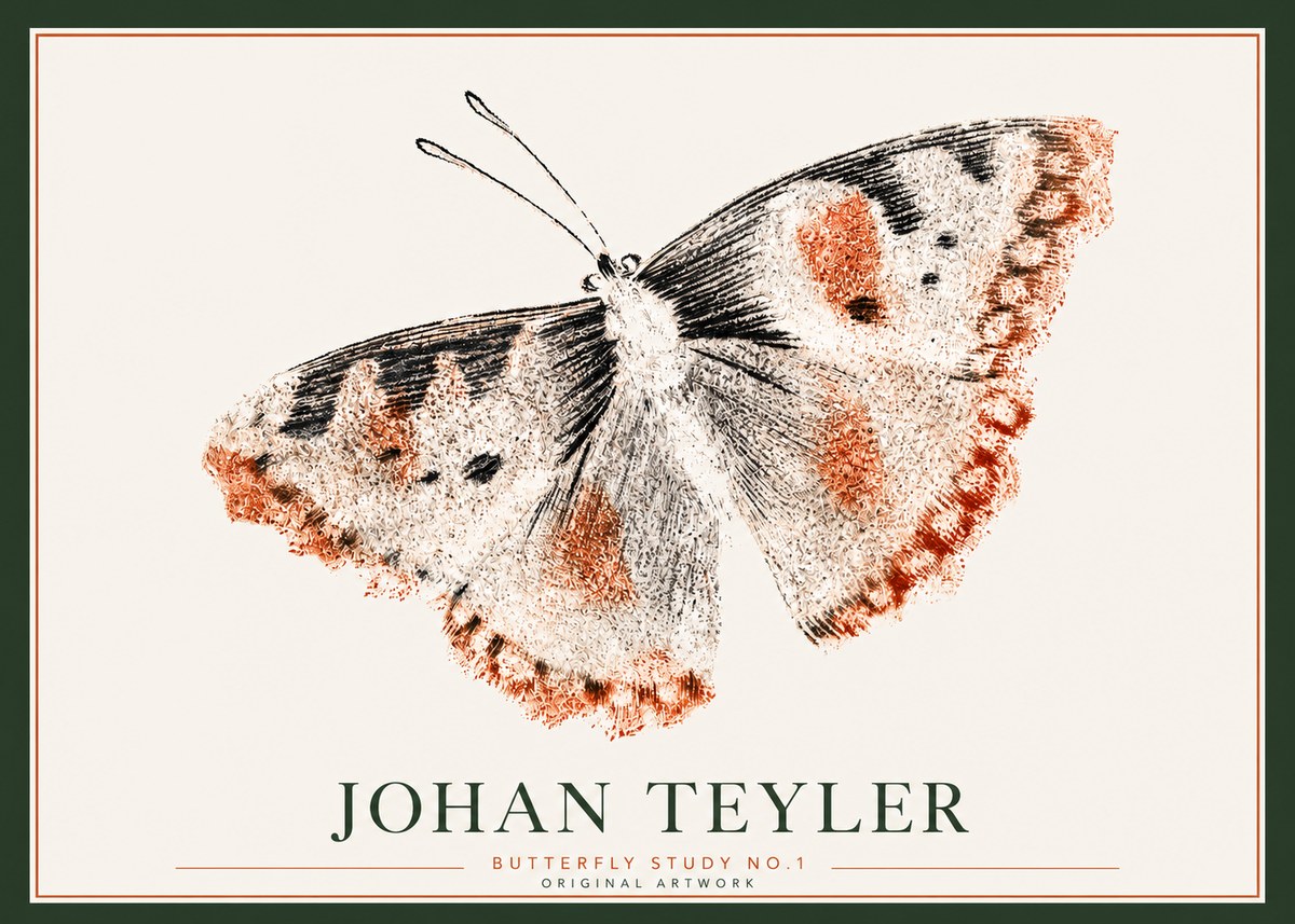 Johan Teyler Butterfly Study No.1 No3 - Juliste