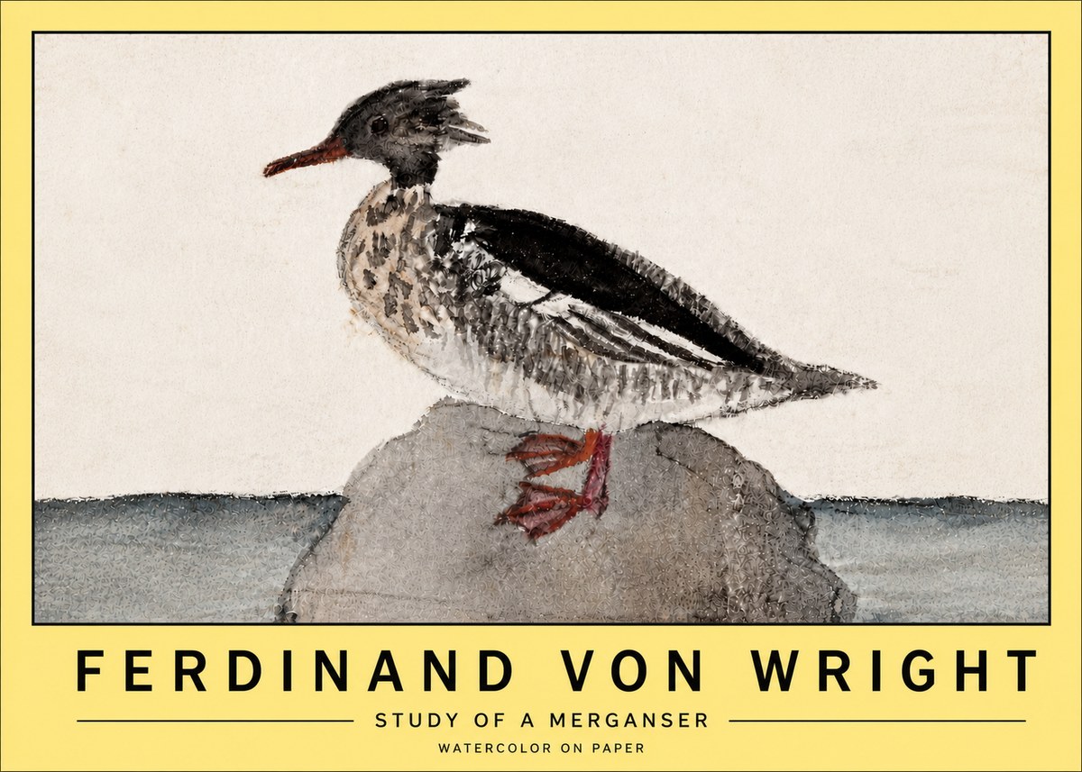 Ferdinand von Wright Study of a Merganser No5 - Juliste