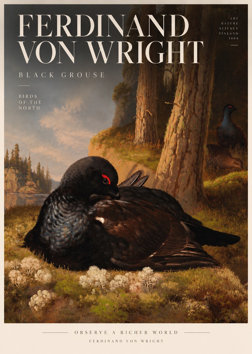 Ferdinand von Wright The Black Grouse No5 - Juliste