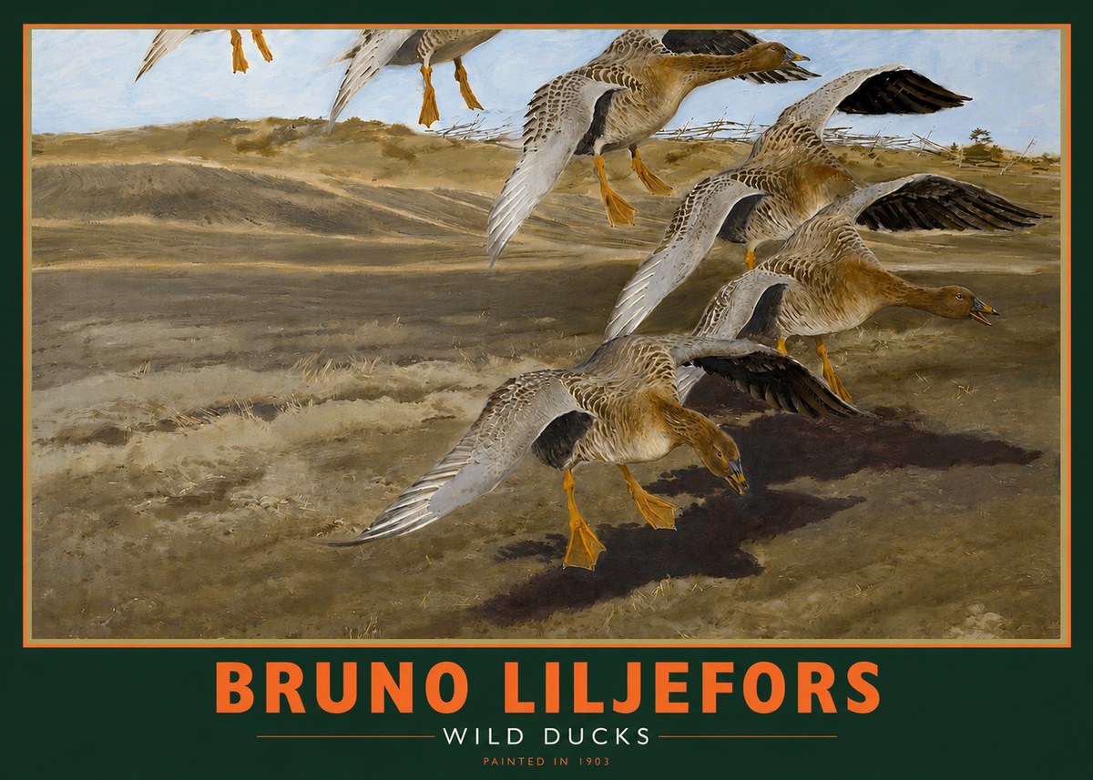 Bruno Liljefors Wild Ducks I No2 - Juliste