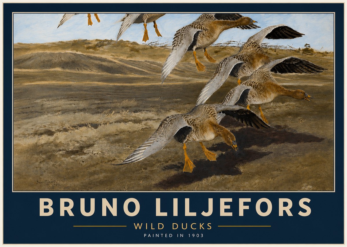 Bruno Liljefors Wild Ducks I No4 - Juliste