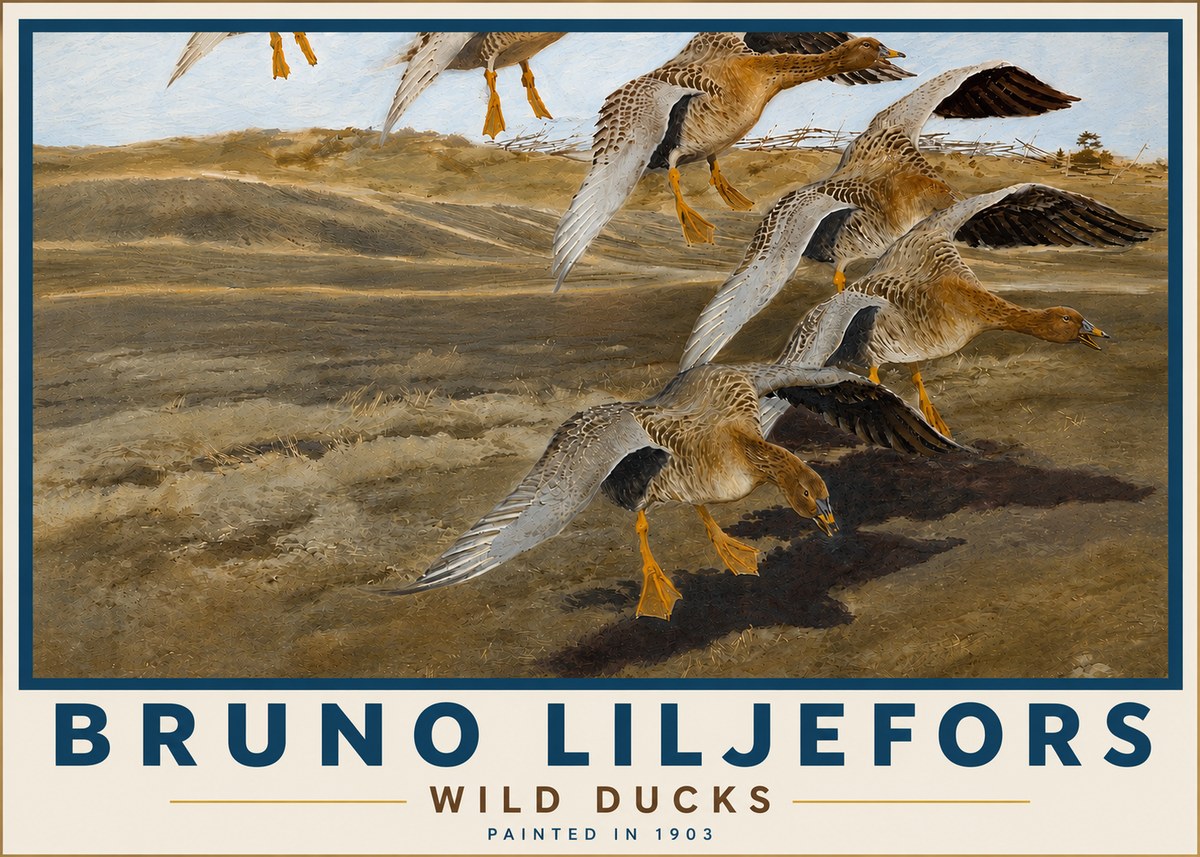 Bruno Liljefors Wild Ducks I No5 - Juliste