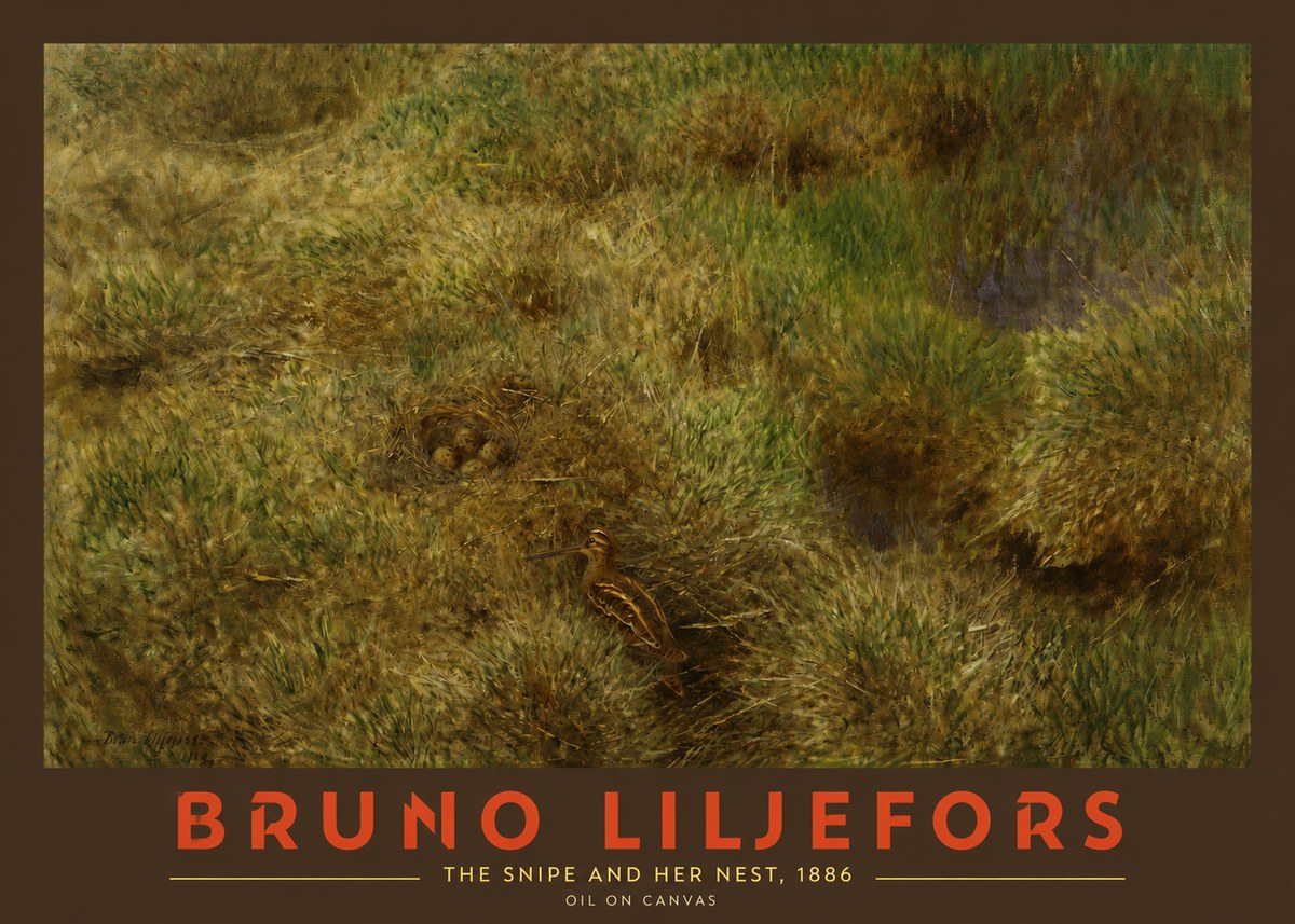 Bruno Liljefors The Snipe and Her Nest No2 - Juliste