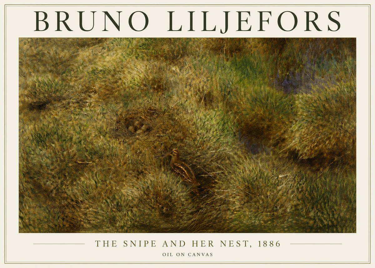 Bruno Liljefors The Snipe and Her Nest No5 - Juliste