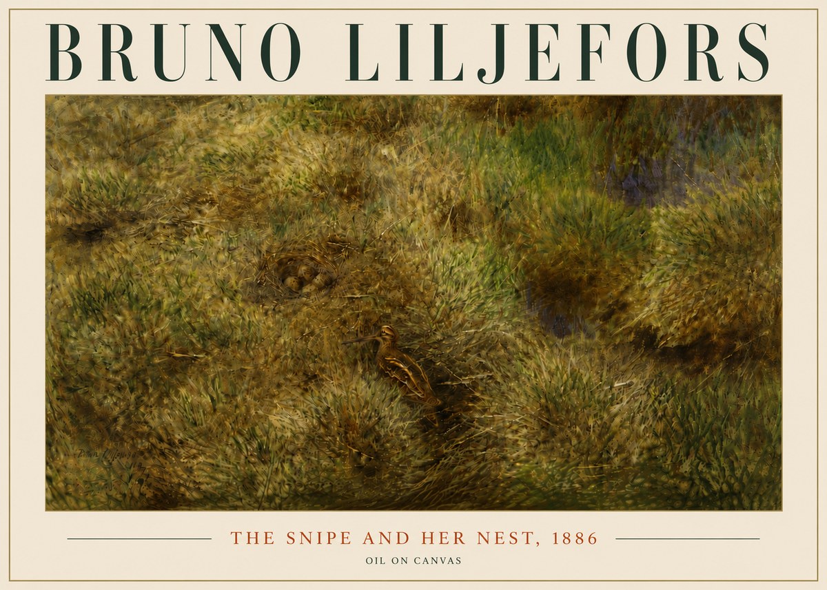 Bruno Liljefors The Snipe and Her Nest No6 - Juliste