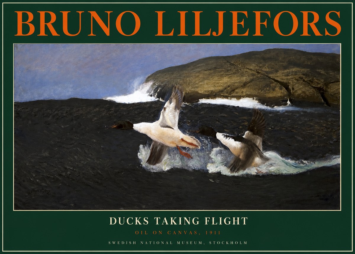 Bruno Liljefors Ducks Taking Flight No2 - Juliste