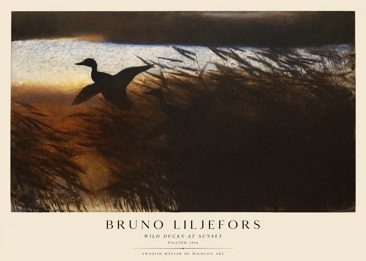 Bruno Liljefors Wild Ducks II No5 - Juliste