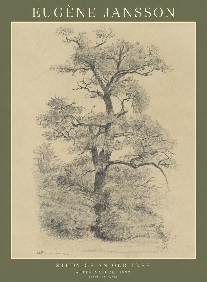 Eugène Jansson Study of an Old Tree No1 - Juliste