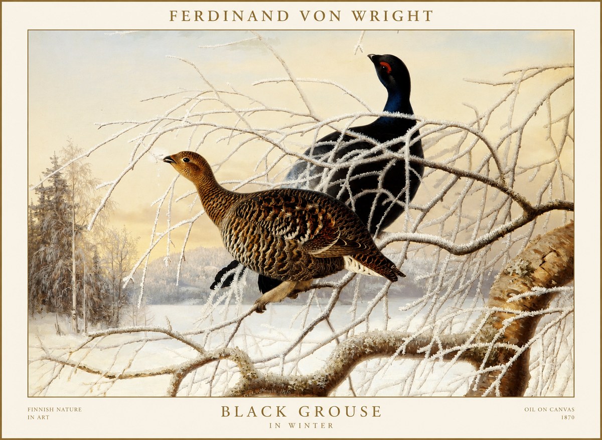 Ferdinand von Wright Black Grouse in Winter No1 - Juliste