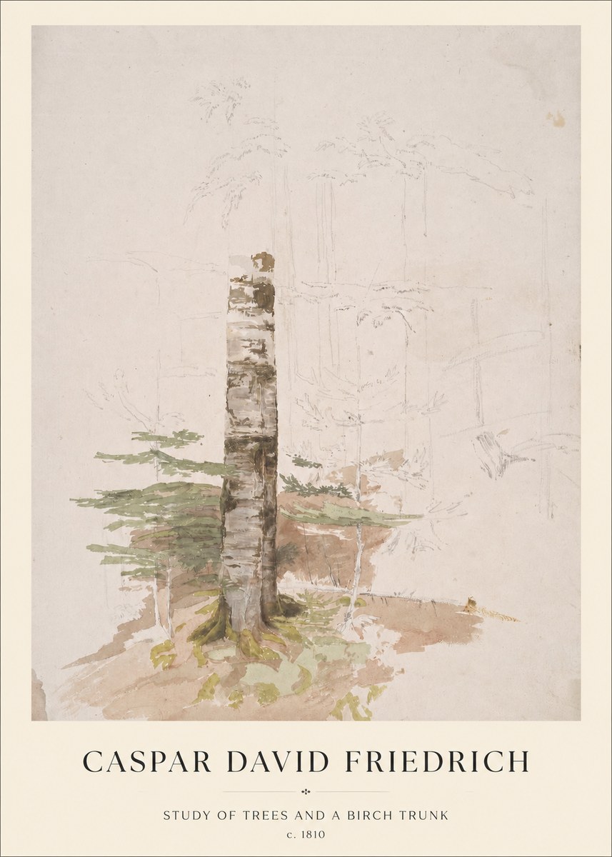 Caspar David Friedrich Study of Trees and a Birch Trunk No1 - Juliste