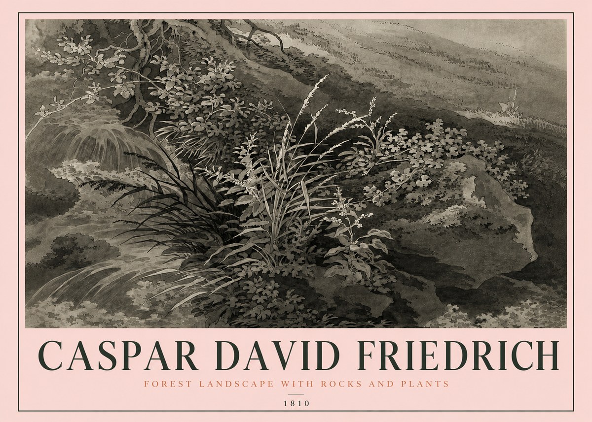 Caspar David Friedrich Forest Landscape with Rocks and Plants No4 - Juliste