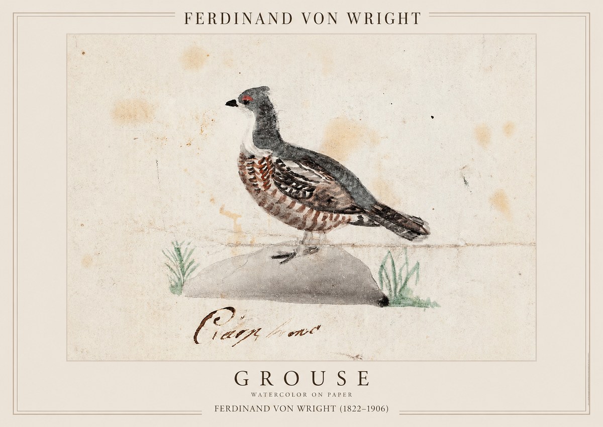 Ferdinand von Wright Grouse No1 - Juliste