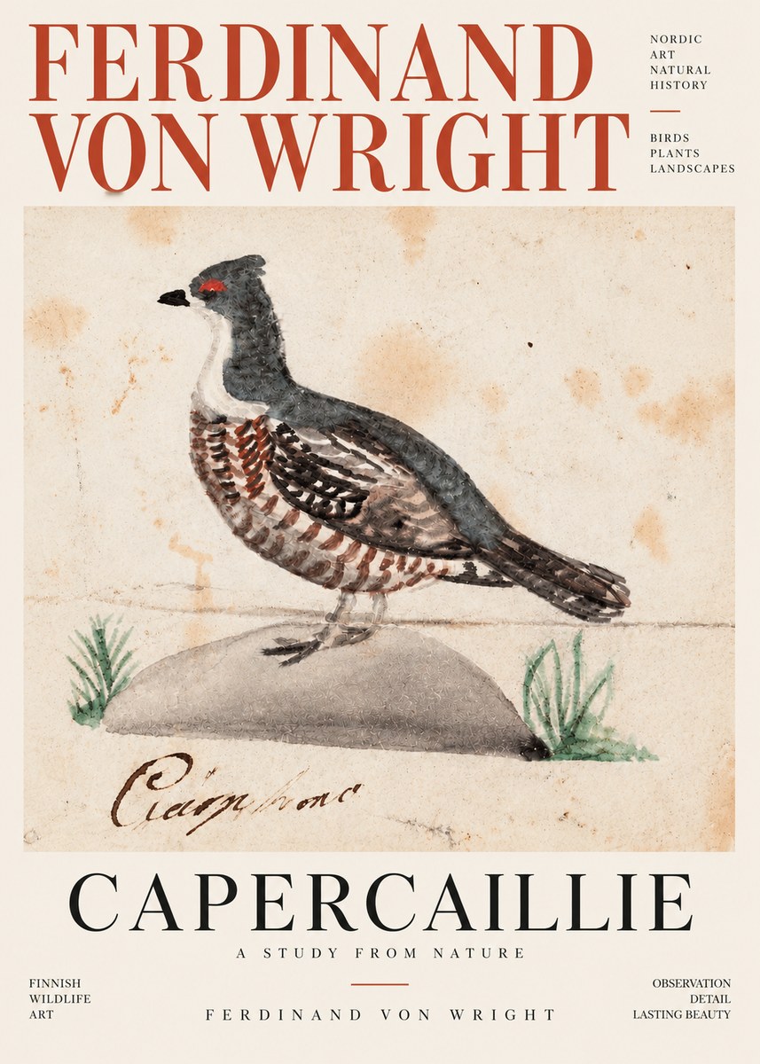 Ferdinand von Wright Grouse No4 - Juliste