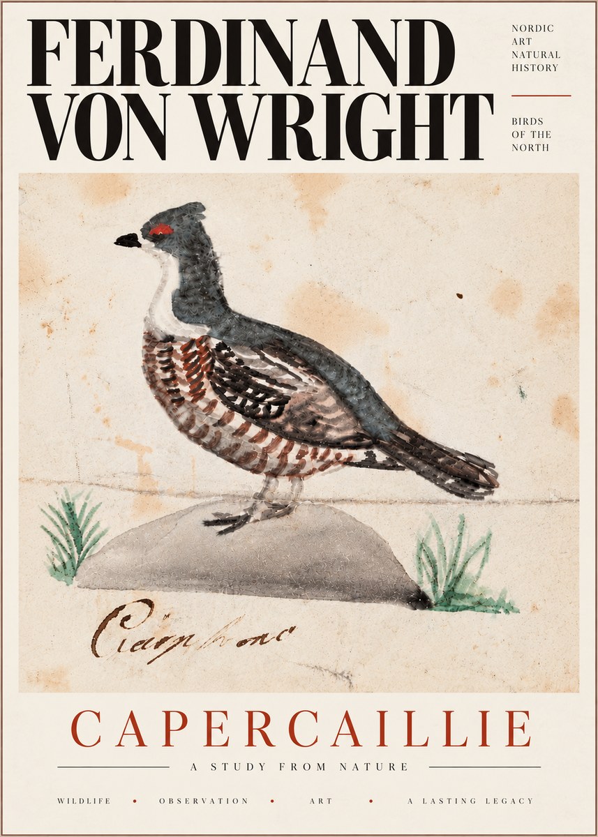 Ferdinand von Wright Grouse No6 - Juliste