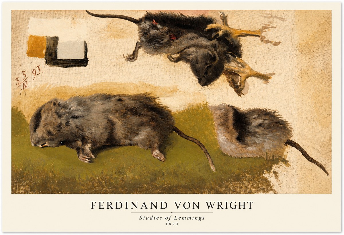 Ferdinand von Wright Studies of Lemmings No1 - Juliste