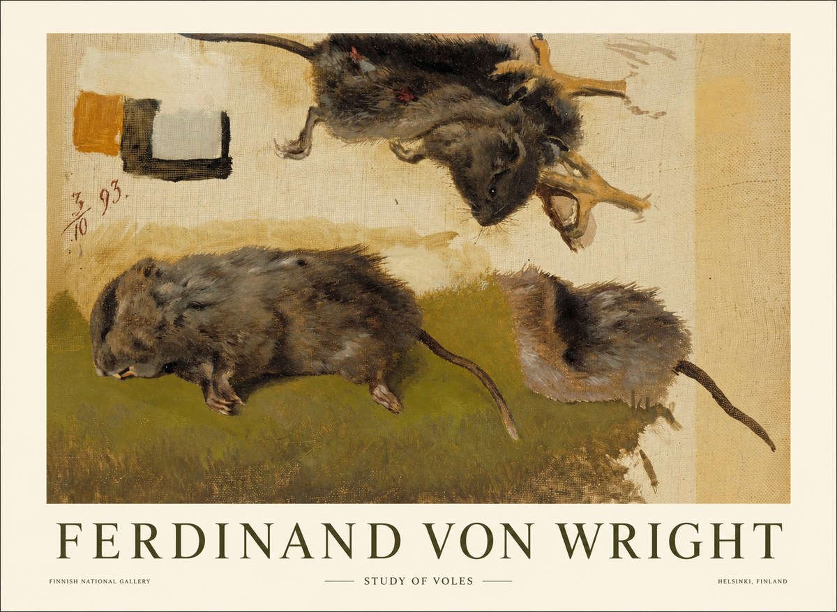 Ferdinand von Wright Studies of Lemmings No2 - Juliste