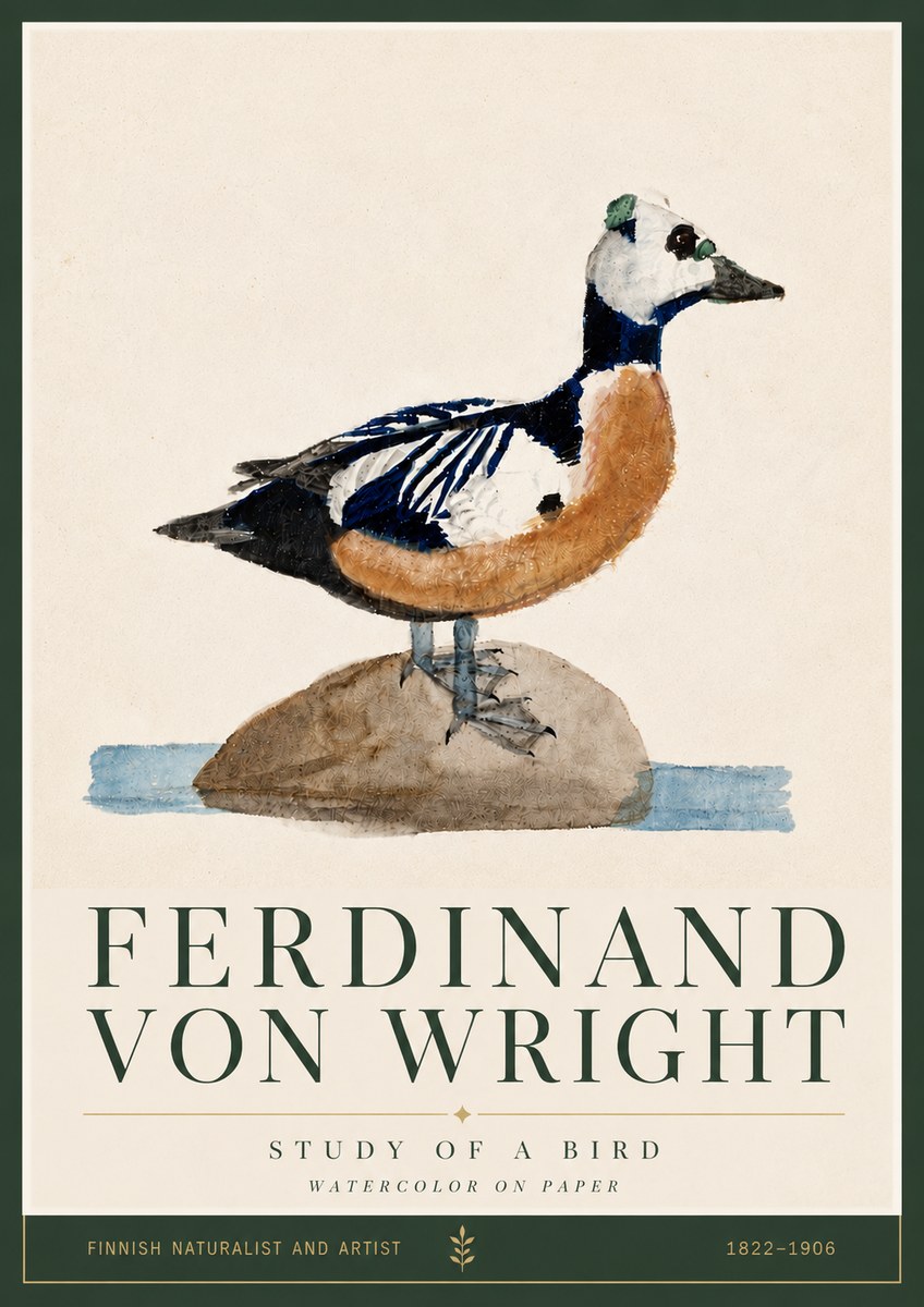 Ferdinand von Wright Study of a Bird No5 - Juliste