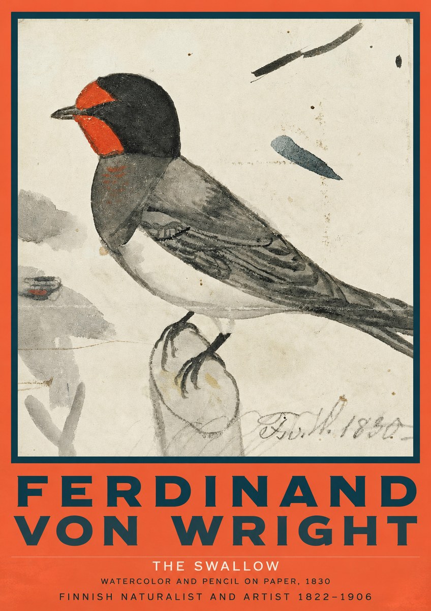 Ferdinand von Wright The Swallow No2 - Juliste