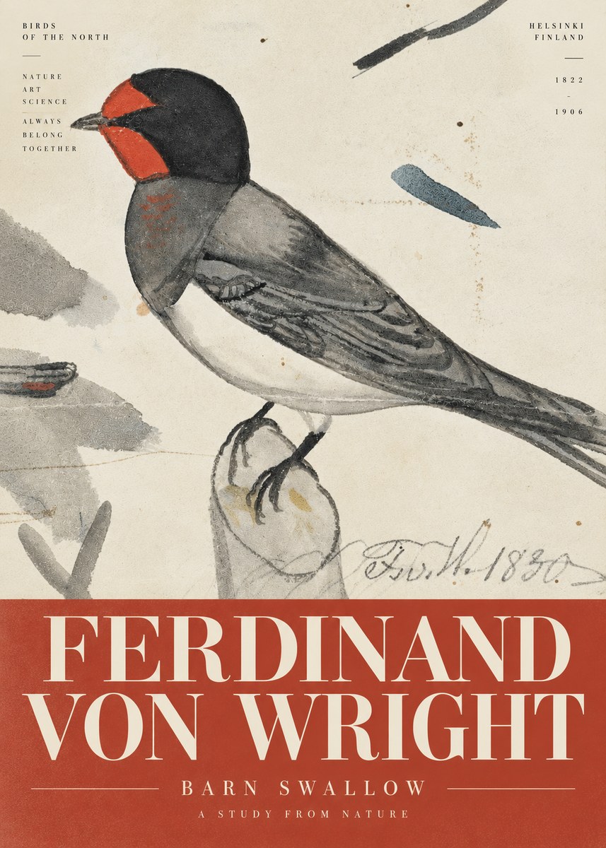 Ferdinand von Wright The Swallow No6 - Juliste