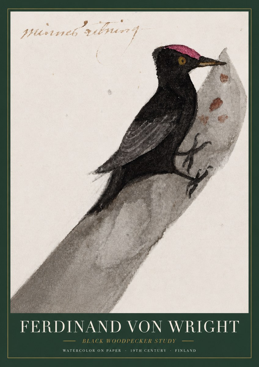 Ferdinand von Wright Black Woodpecker Study No3 - Juliste