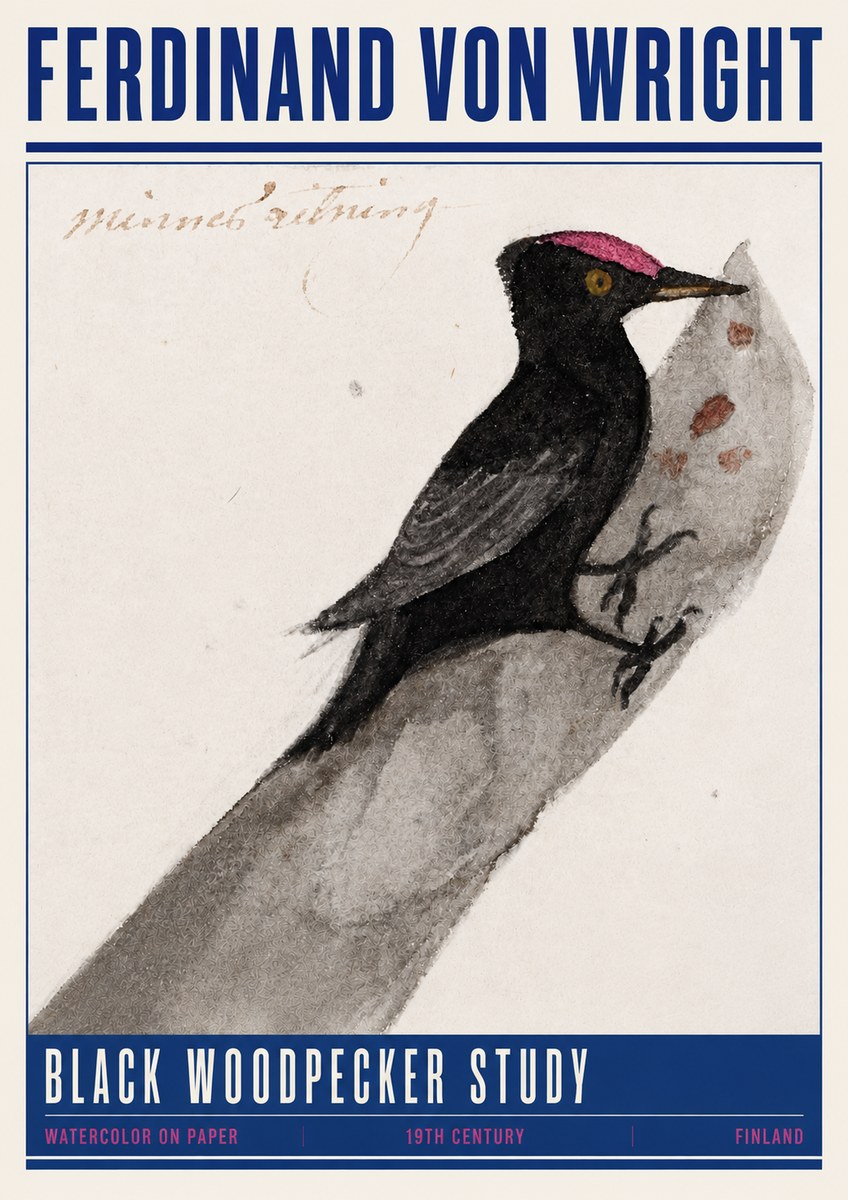 Ferdinand von Wright Black Woodpecker Study No4 - Juliste
