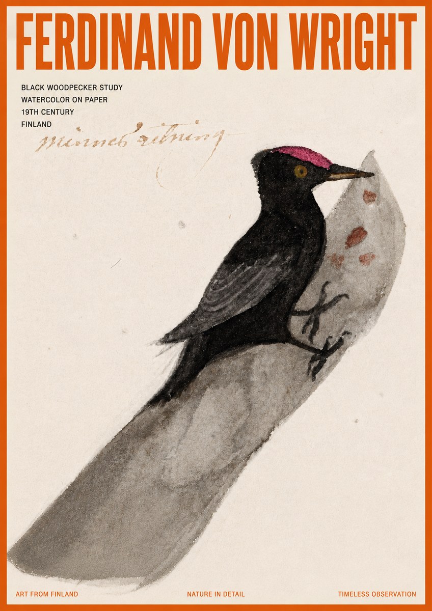 Ferdinand von Wright Black Woodpecker Study No5 - Juliste