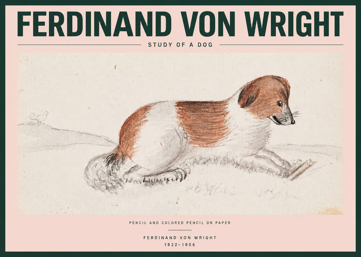 Ferdinand von Wright Study of a Dog No2 - Juliste