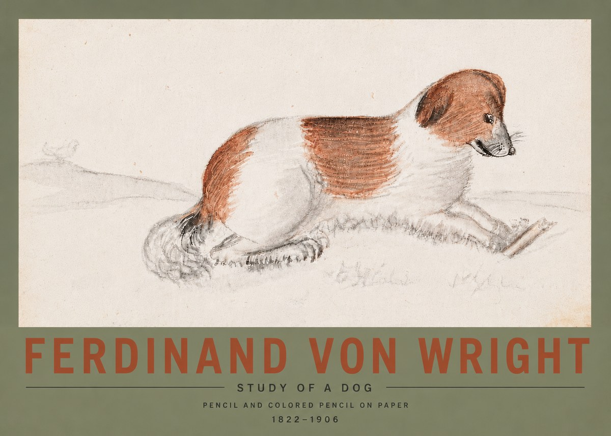 Ferdinand von Wright Study of a Dog No5 - Juliste
