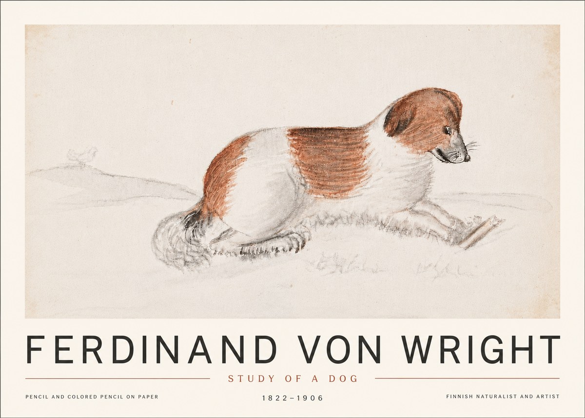 Ferdinand von Wright Study of a Dog No6 - Juliste