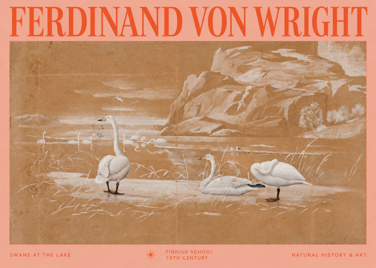 Ferdinand von Wright Swans at the Lake No2 - Juliste