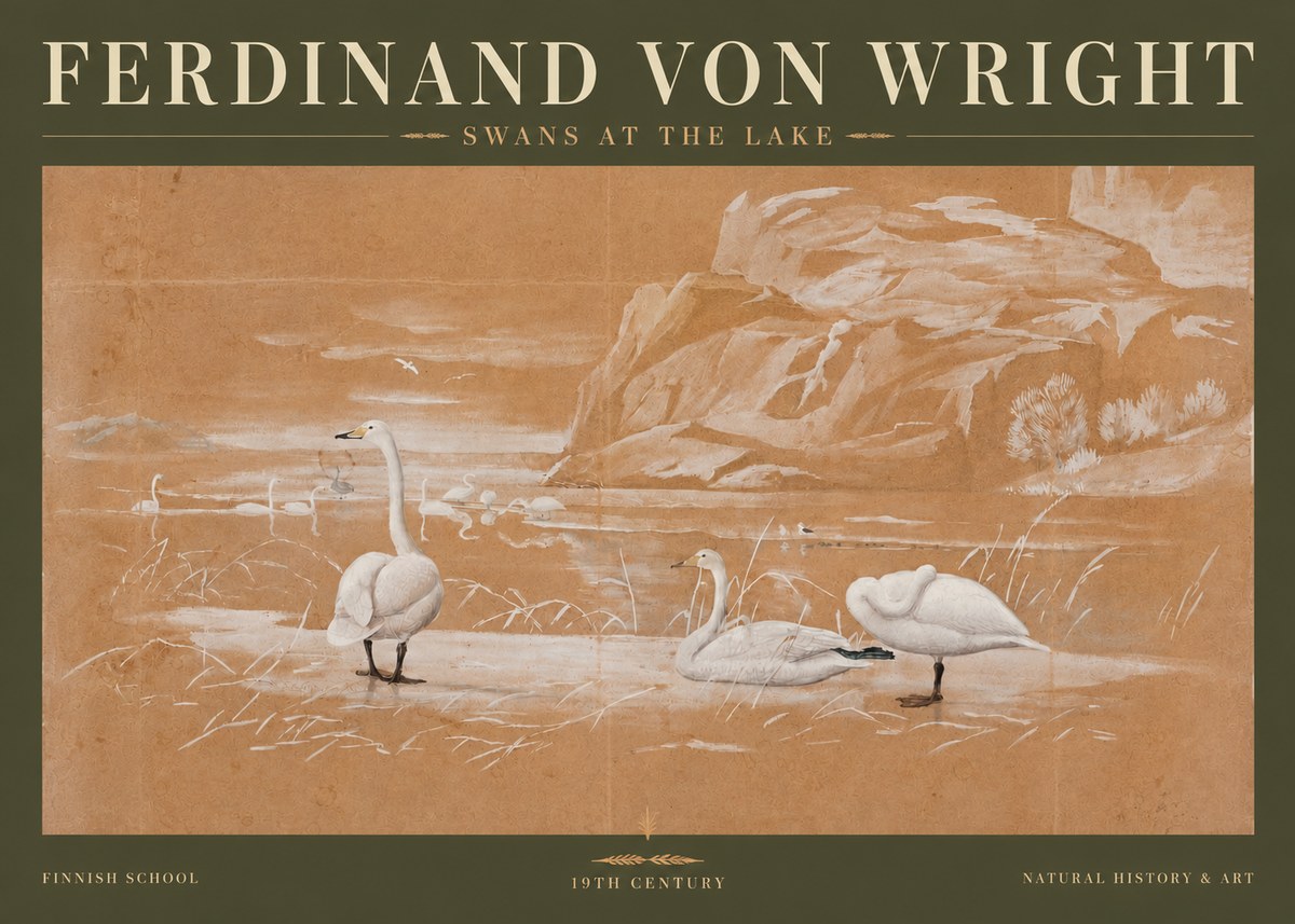 Ferdinand von Wright Swans at the Lake No3 - Juliste